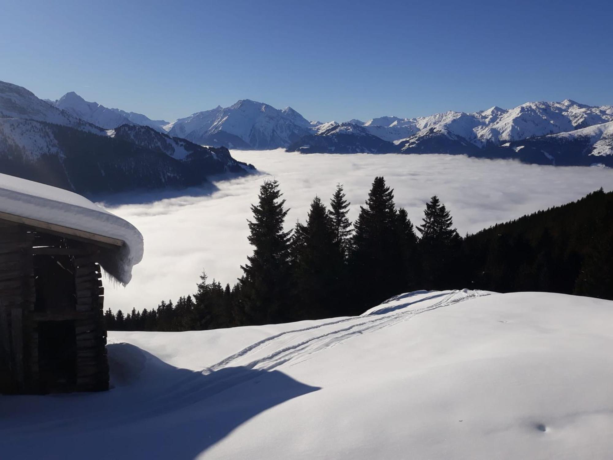 Haus Viktoria Apartment Mayrhofen Exterior photo